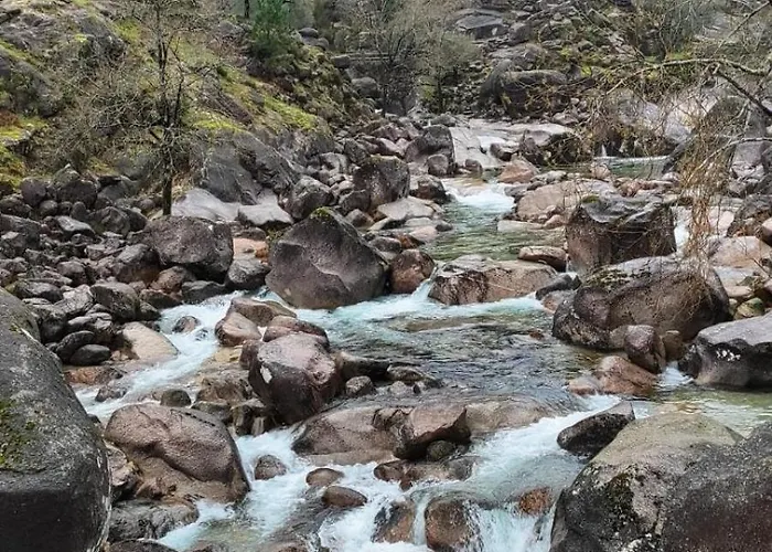 Casa Da Fonte De Pedra Vieira do Minho